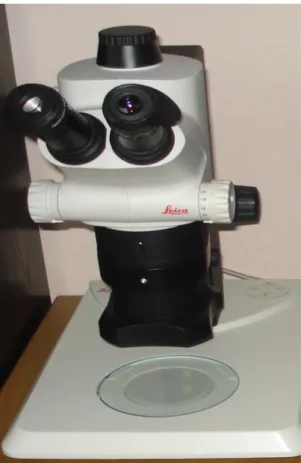 Şekil 3.3: Stereo mikroskopisi fotoğrafları Leica S8APO (Namık Kemal Üniversitesi Ziraat 