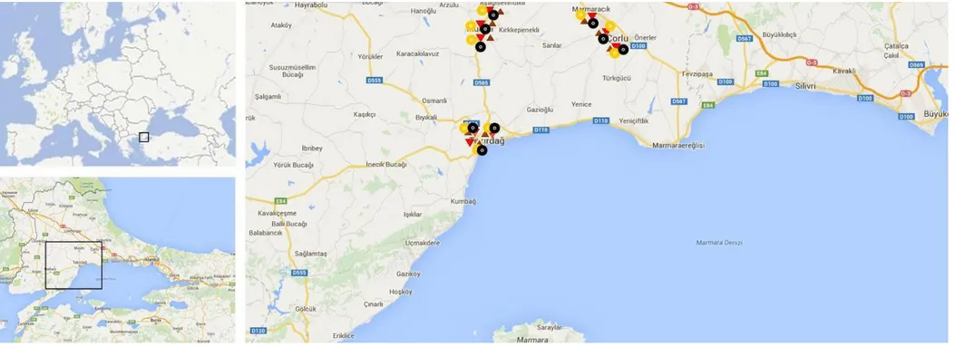 ġekil 3.1.Tekirdağ ilindeki çalıĢma alanı ( X. parietina;   X. conspersa;   J. Horizontalis;   P