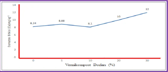 Şekil  4.7.  Farklı  oranlarda  vermikompost  uygulamalarının  domates  bitkisindeki  bakır  miktarına etki grafiği 