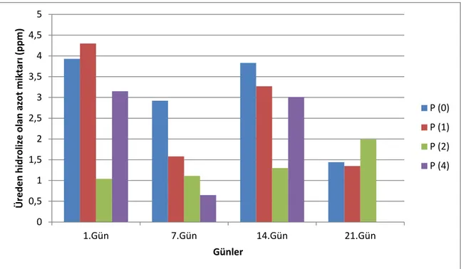 Şekil 4.4. 4 No’ lu Toprağa ait üreden hidrolize olan azot miktarları 
