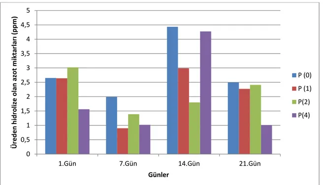 Şekil 4.6. 6 No’ lu toprağa ait üreden hidrolize olan azot miktarları 