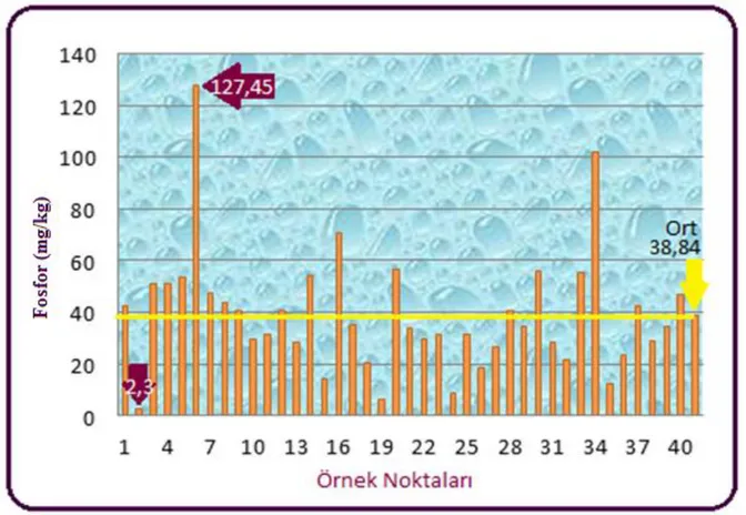 Şekil 4.6.Kumluca ilçesinden alınan toprak örneklerine ait fosfor (mg/kg) miktarları 