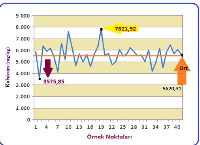 Şekil 4.7. Örneklem noktalarına göre toprakların kalsiyum mg/kg dağılımı değerleri  Kalsiyumun  sınıflandırılmasında  baz  alınan  değerler  0-380  mg/kg  ''çok  az'',  380-115  mg/kg  ''az'',  1150-3500  mg/kg  ''yeterli'',  3500-10  000  mg/kg  ''fazla''