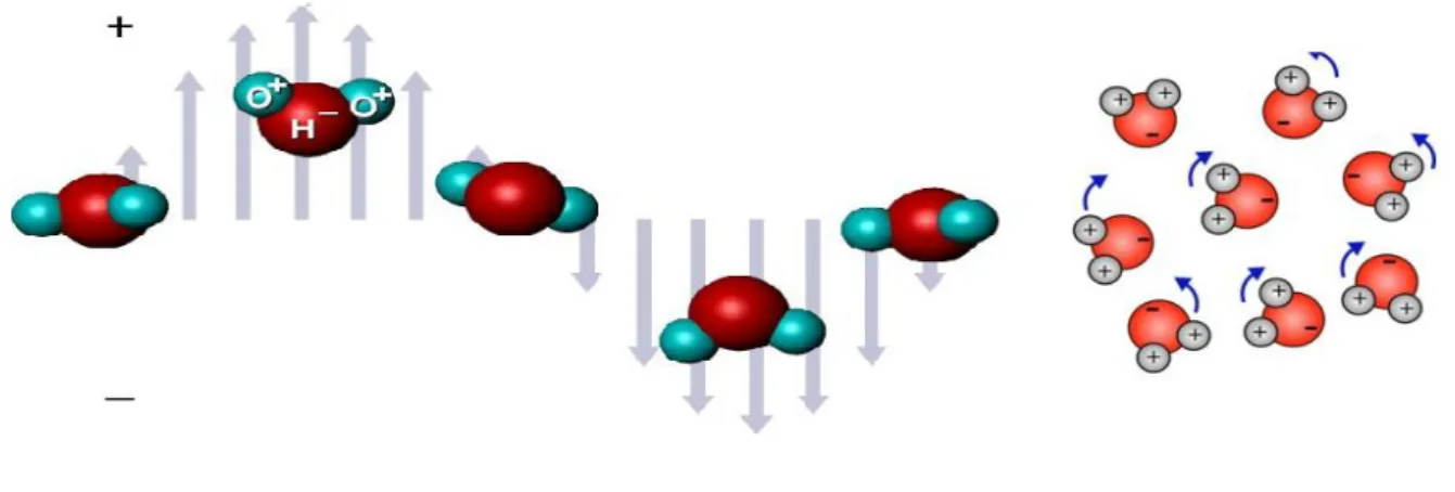 Şekil 1.3’te mikrodalganın su molekülüne etkisinin, Şekil 1.4’te ise dipol dönmesinin  şematik gösterimi verilmektedir