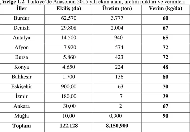 Çizelge  1.2’de  görüldüğü  gibi,  ülkemiz  anason  ekiminin  %51’i  Burdur  ilinde  yapılmaktadır