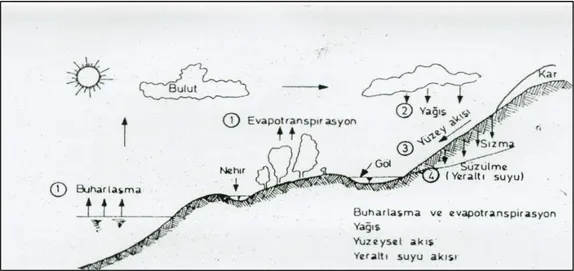 Şekil 3.11. Hidrolik çevrim 