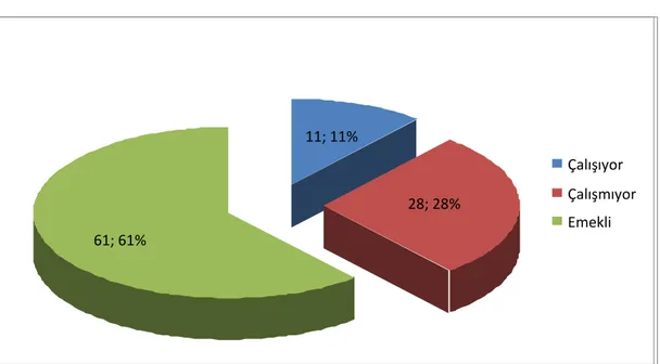 Tablo 12:Hastaların ÇalıĢma Durumları                     11,88% 64,36% 22,77%  9 %66565  Her gün Haftada 1 Gün Ayda 1 Gün 28; 28%11; 11% 61; 61% Çalışıyor ÇalışmıyorEmekli