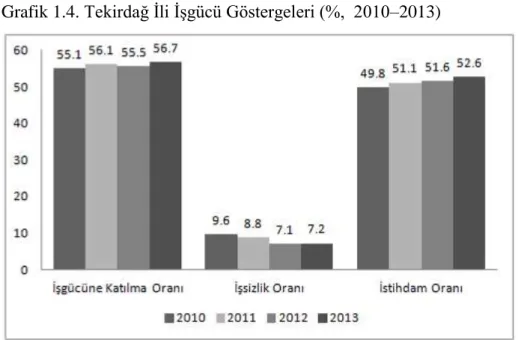 Grafik 1.4. Tekirdağ Ġli ĠĢgücü Göstergeleri (%,  2010–2013) 