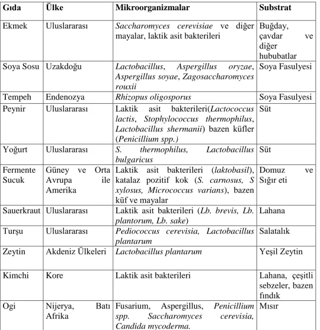 Çizelge  2.1  Bazı  Fermente  gıdalar,  kökenleri  ve  fermantasyonları  sırasında  rol  oynayan  mikroorganizmalar (Caplice ve Fitzgerald 1999)