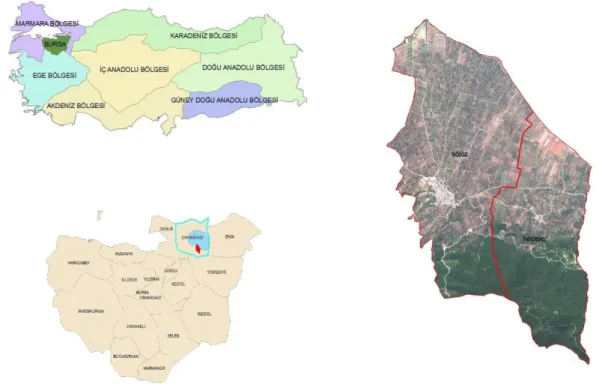 ġekil 3.1. AraĢtırma alanının konumu  
