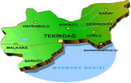 Şekil 5.1. Tekirdağ il ve ilçeleri  (Kaynak:www.csb.gov.tr) 