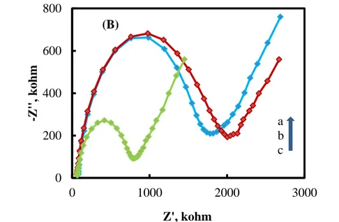 ġekil 4.2 (A) Sade KPE (B) a: KPE-BCC, b: KPE-ÇDKNT, c: KPE-ÇDKNT-BCC  elektrotlarının  Nyquist  eğrileri  (5,0  mmolL -1   Fe(CN) 6 3-/4-  içeren    0,10 
