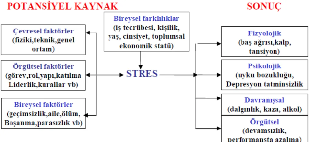 Şekil 1: İş Stresinin Neden ve Sonuçları (Kaynak: Aytaç, 2009). 