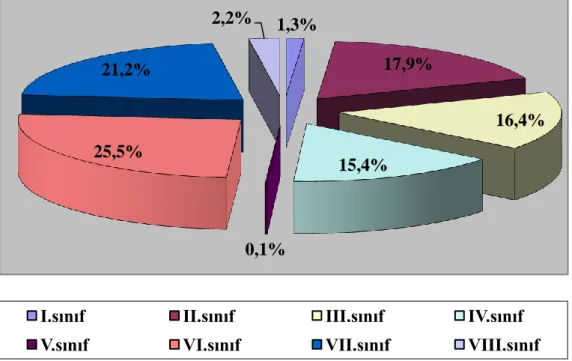 ġekil  4.2.  Ġstanbul  Ġlinde  Alanların  Toprak  Sınıflarına  Göre  Dağılımı  (Ġstanbul  Ġl  Çevre  Durum Raporu, Ġl Çevre ve Orman Tarım Müdürlüğü 2006) 