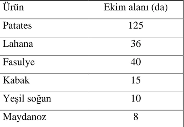 Çizelge 3.5  Hafik ilçesi nde açıkta yetiştiricilik yapılan sebze ekim alanı miktarı (Hafik İlçe  Gıda Tarım ve Hayvancılık Müdürlüğü 2012a)   