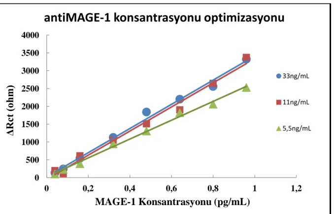 Şekil  4.5  Farklı  antiMAGE-1  konsantrasyonları  ile  hazırlanan  biyosensör  sistemlerinin 