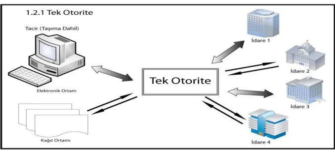 ġekil 3: Tek Otorite Modelinde ĠĢ AkıĢı