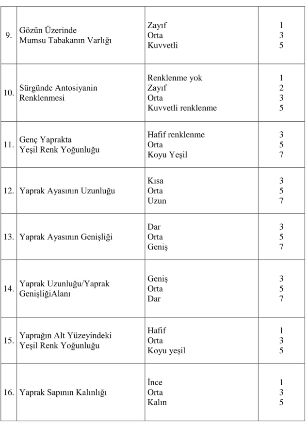 Çizelge 3.2.‟e devam 