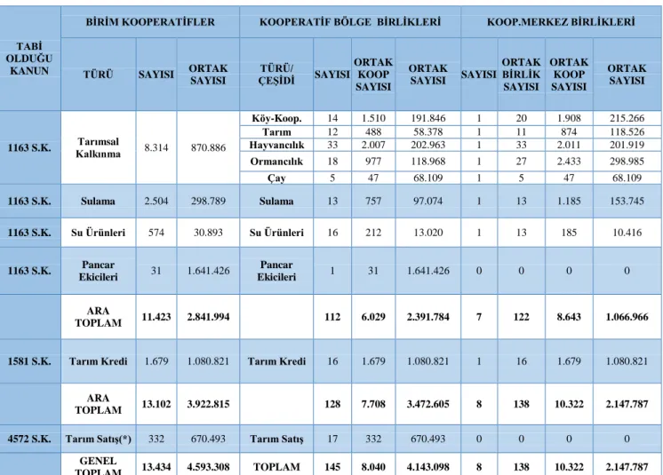 Çizelge 4.3. Türkiye’de Tarımsal Örgütlenme Tablosu (31.12.2012) 