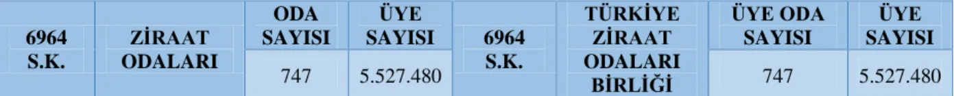 Çizelge 4.6. Türkiye’de Ziraat Odaları ve Türkiye Ziraat Odaları birliği 