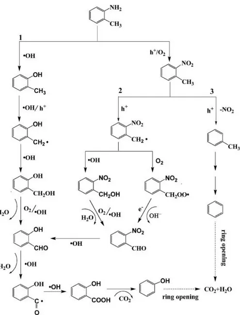 Şekil 1.2.3. Gaz Fazında Fotokatalitik Bozunma ve Detoksifikasyon ile o-toluidinin         Parçalanma Mekanizması   