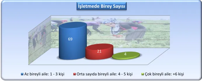 Şekil 4.1. İncelenen İşletmelerde Aile Şekli 
