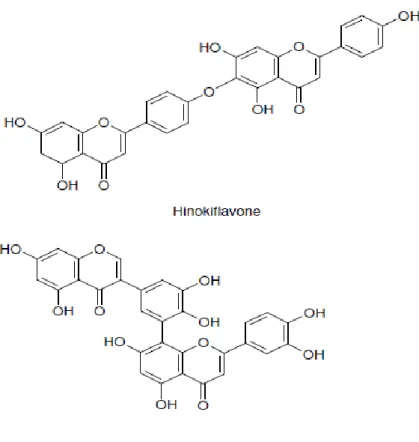 ġekil 2.29. Biflavonoid bileĢiklerine örnekler 