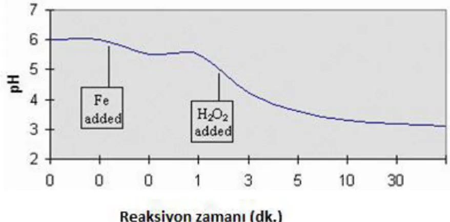 Şekil 2.3. Fenton reaksiyonunun tipik pH profili (Kaplan 2007) 