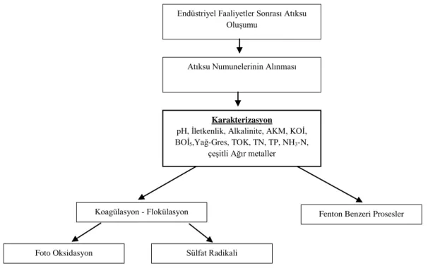 Şekil 3.1 Deneysel metodoloji  