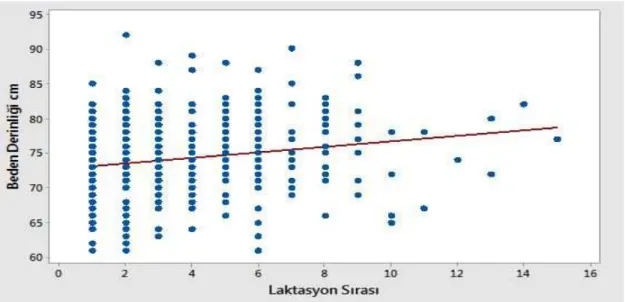 Şekil 4.3. Laktasyon sırasına göre beden derinliği dağılımının serpilme grafiği 