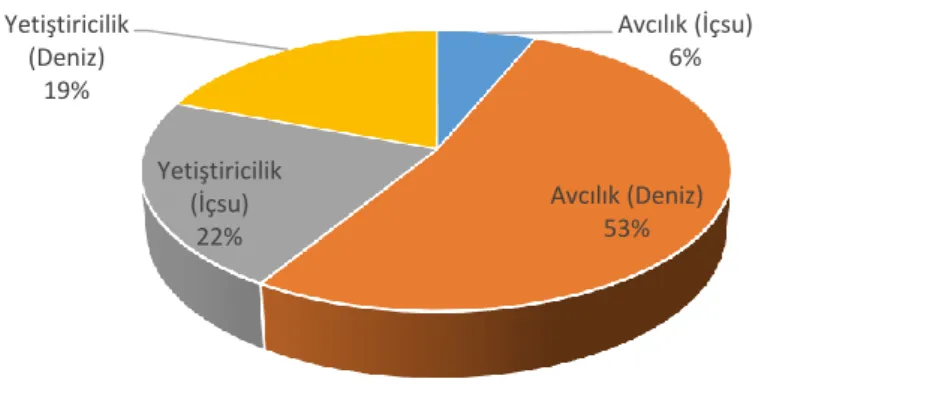 Şekil 4.3. Türkiye’de 2013 yılında üretilen balıkların üretim şekli oranları (TUIK, 2015) 