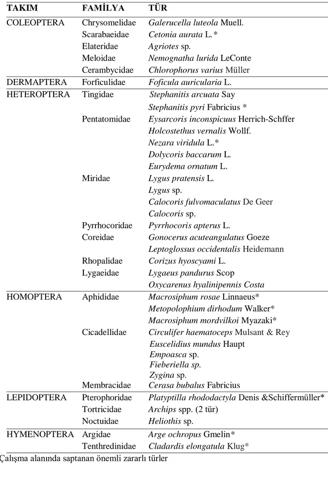 Çizelge 4.1. Ġstanbul Göztepe Parkı Gül Bahçesinde güllerde bulunan zararlı böcek türleri 
