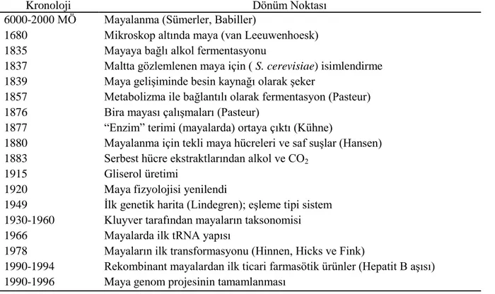 Çizelge 1. Mayaların tarihi (Feldmann 2005) 