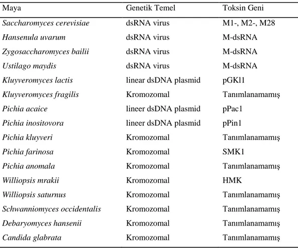 Çizelge 2.2.2. Mayalarda katil fenotipin genetik temeli (AltuntaĢ ve Özçelik) 