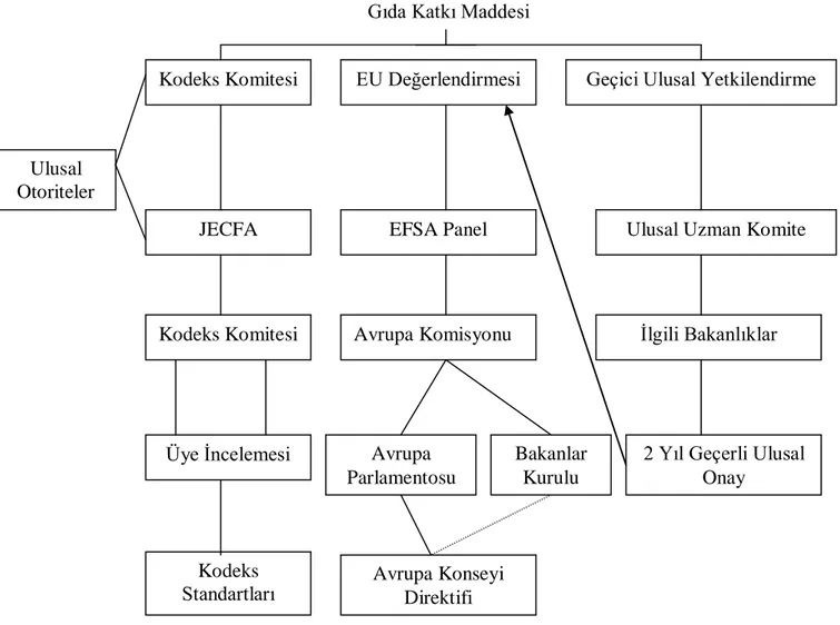 ġekil 1.1. Yeni bir gıda katkı maddesi onayı için geçerli tablo (Benford D. 2000) 