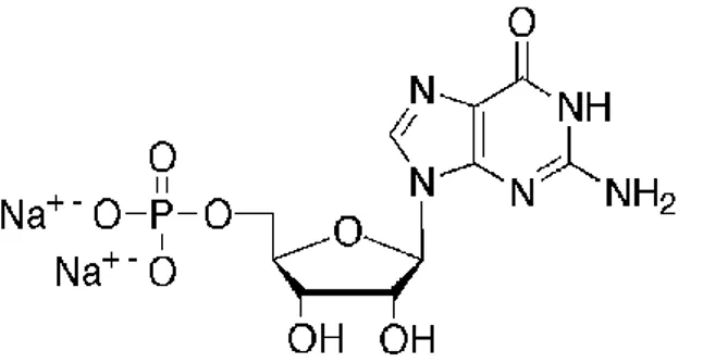 ġekil 5.1. Disodyum guanilat‟ ın kimyasal yapısı (Anonymus (b) 2011) 