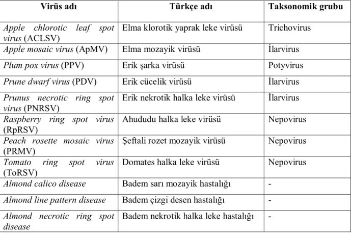 Çizelge 1.2. Bademde saptanmış olan bazı virüs ve virüs benzeri hastalık etmenlerinin listesi  (Agrios 2005) 