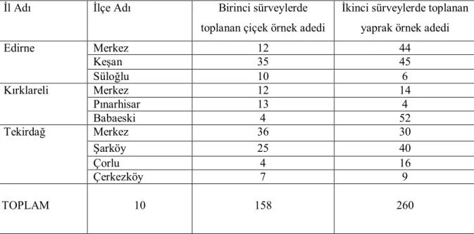 Çizelge 3.1. 2010 yılı Trakya Bölgesi badem üretim alanlarından toplanan örnek sayılarının il  ve ilçelere göre dağılımı 