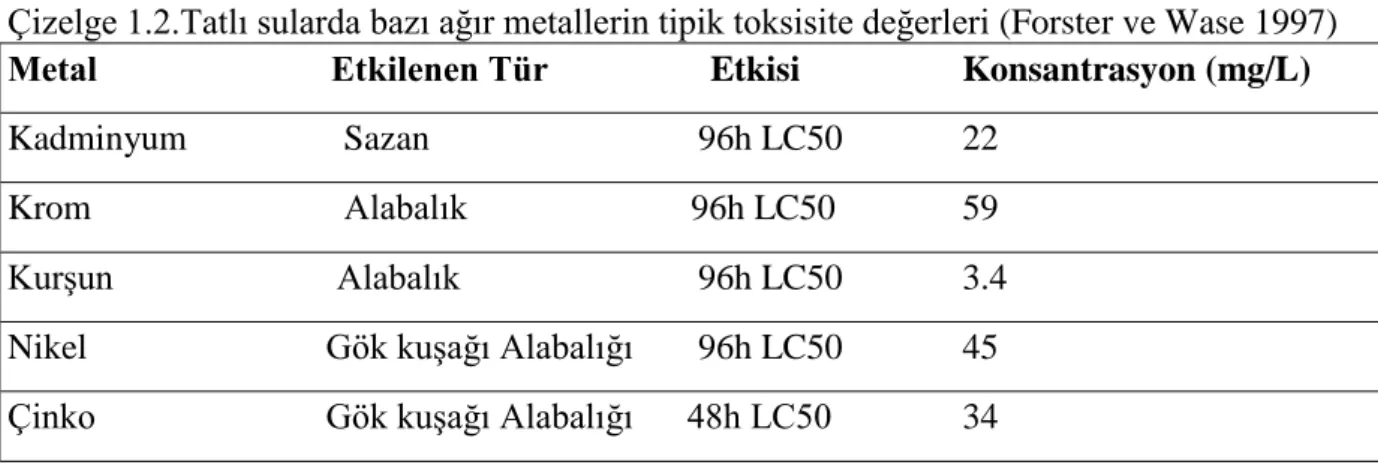 Çizelge 1.2.Tatlı sularda bazı ağır metallerin tipik toksisite değerleri (Forster ve Wase 1997)  Metal                          Etkilenen Tür                  Etkisi  Konsantrasyon (mg/L)  Kadminyum      Sazan         96h LC50    22 