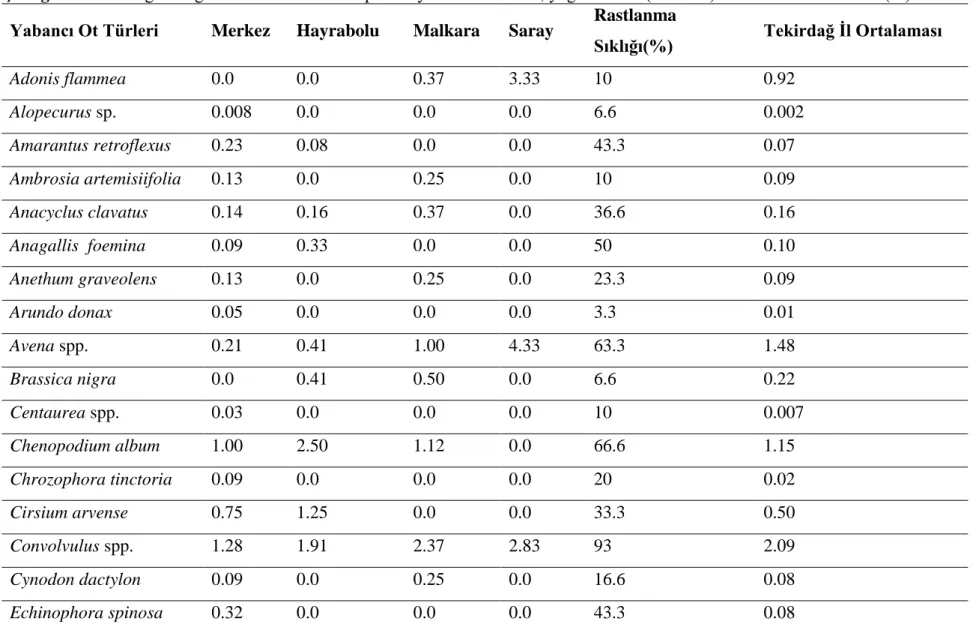 Çizelge 4.1 Tekirdağ İli soğan ekim alanlarında saptanan yabancı ot türleri, yoğunlukları (bitki/m 2 ) ve rastlanma sıklıkları (%)