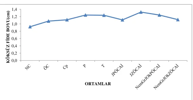 ġekil 4.3. Ortamların köksüz fide boyuna etkisi (g) 0,0 0,2 0,4 0,6 0,8 1,0 1,2 1,4 KÖKSÜZ FĠDE BOYU(cm)  ORTAMLAR 