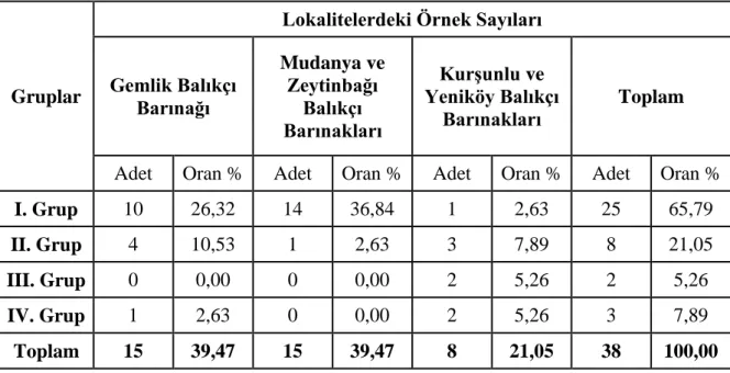 Çizelge 3.4. Bursa Ġli Anket Sayılarının Lokalitelere Dağılımı 