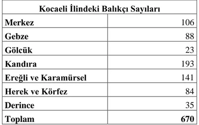 Çizelge 5.1. Kocaeli‟nin Ġlçelerine Kayıtlı Balıkçı Teknesi Sayıları   Kocaeli Ġlindeki Balıkçı Sayıları 