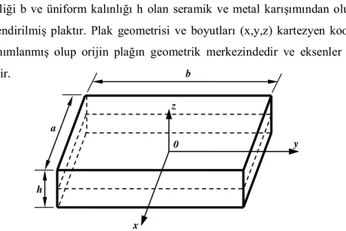 Şekil 3.1. Üniform kalınlıktaki dikdörtgen bir plağın geometrisi ve koordinatlar   