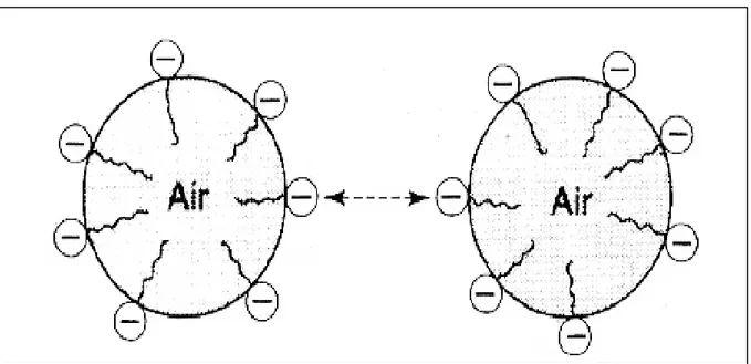 ġekil 3.5. Hava Kabarcıklarının Birbirini Ġtme Mekanizması (Hewlett 2004). 