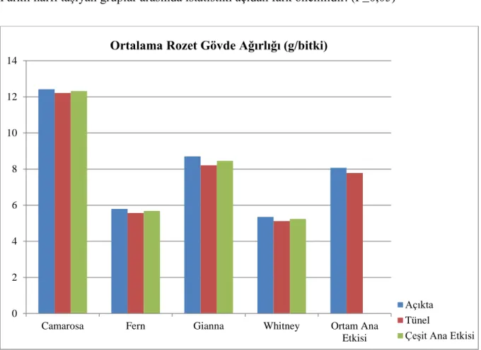 Çizelge 4.4. Açıkta ve alçak tünel altında yetiştirilen çilek çeşitlerine ait ortalama rozet gövde  ağırlığı (g/bitki) 