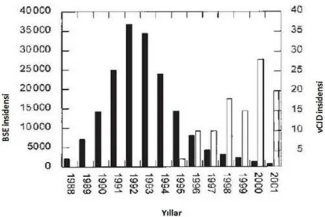 Şekil 2.2’de yı llara göre BSE ve vCJD görülüşsı klı ğıarası ndaki iliş ki gösterilmiş tir (Trevitt ve Singh 2003).