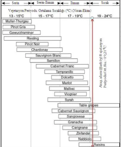 ġekil  4.1.2.  Vegetasyon  periyodu  ortalama  sıcaklıklarına  göre  bağcılık  bölgelerinin  sınıflandırılması ve çeĢitlerin yetiĢtirilebildikleri sıcaklık aralıkları (Jones 2007)