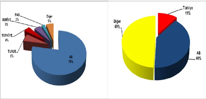 ġekil 1. Dünya Zeytinyağı ve Sofralık Zeytin Üretimi (%)  (Anonim 2011g) 