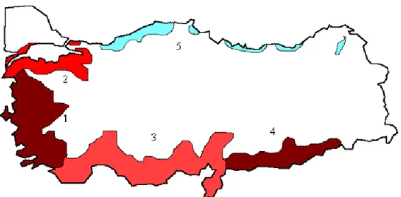 ġekil  3. Türkiye‘nin Zeytin Üretim Alanlarını Gösteren Harita 